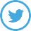 twitter-logo